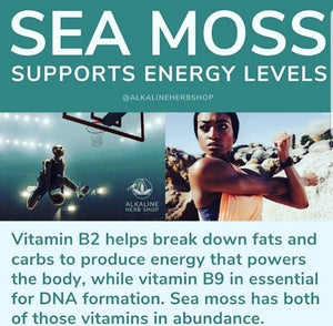 WHOLESALE Superb Vitality Capsules (Sea Moss, Ashwagandha, and Black Maca Root blend)
