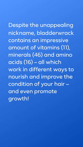 Superb Sea Moss Hair Food Spray (Daily Rejuvenation)
