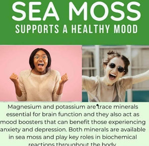 3 Month Supply-Superb Sea Moss Gel ( Original ) ( Value Pack )