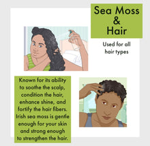 Load image into Gallery viewer, Superb Sea Moss Hair Food Spray (Daily Rejuvenation)

