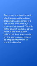 Load image into Gallery viewer, Superb Sea Moss Hair Food Spray (Daily Rejuvenation)
